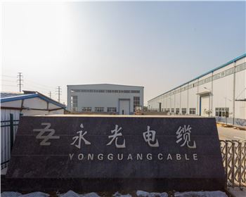 涇河永光電纜 涇河永光電纜